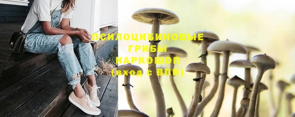 спайс Верхний Тагил