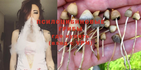 амф Бронницы